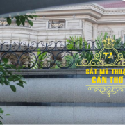 Hàng rào sắt mỹ thuật